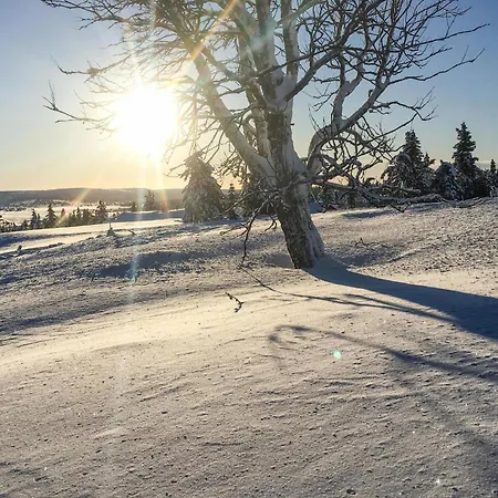 Lovely In With Wifi Feriehus Sjusjoen