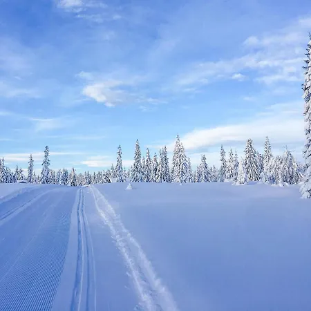 Lovely In With Wifi Sjusjoen